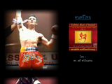 [3D Muay Thai - скриншот №10]