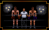 [3D World Boxing - скриншот №10]