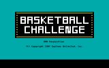[Basketball Challenge - скриншот №2]