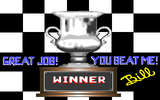 [Bill Elliott's NASCAR Challenge - скриншот №29]