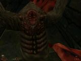 [Blood II: The Nightmare Levels - скриншот №14]