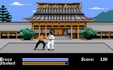 [Bruce Lee Lives: The Fall of Hong Kong Palace - скриншот №4]