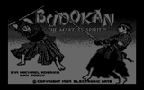 [Budokan: The Martial Spirit - скриншот №57]