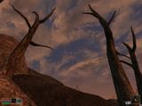 [The Elder Scrolls III: Morrowind - скриншот №19]