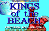 [Скриншот: Kings of the Beach]