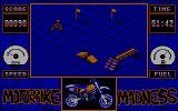 [Скриншот: Motorbike Madness]