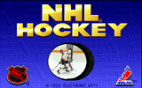 [Скриншот: NHL Hockey 94]