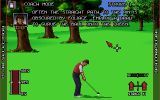 [Nick Faldo's Championship Golf - скриншот №7]