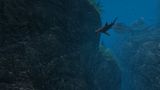 [OceanDive: Ocean Diving Adventure - скриншот №4]