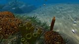 [OceanDive: Ocean Diving Adventure - скриншот №10]