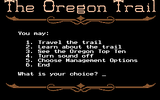 [The Oregon Trail - скриншот №4]