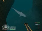 [Shark! Hunting the Great White - скриншот №11]