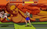 [Super Street Fighter II: The New Challengers - скриншот №14]