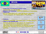 [USA Soccer '94 - скриншот №8]
