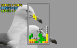 [WildLife Tetris - скриншот №11]