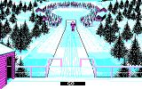 [Winter Olympiad 88 - скриншот №10]
