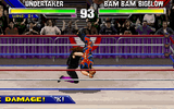 [WWF Wrestlemania: The Arcade Game - скриншот №7]